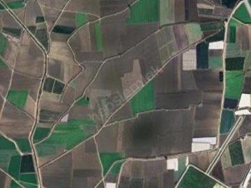 Nemiroğlu, Tarsus, Mersin ili, Akdeniz Bölgesi