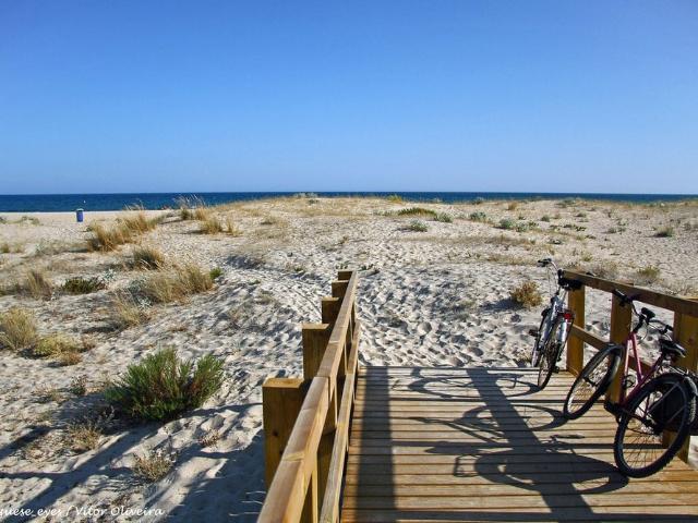 V3 Conchas Praia da Lota 4