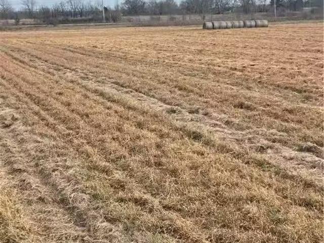 v AUGHN, BENTONVILLE, AR 72713