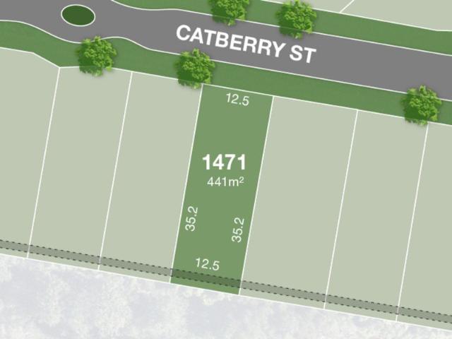 Vacant 441m2 Premium Allotment