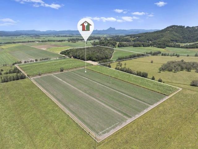 Vacant Acreage Opportunity Tumbulgum