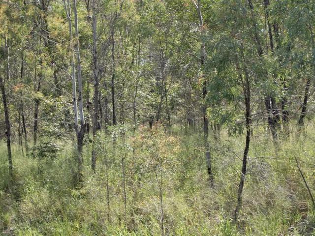VACANT INDUSTRIAL LAND EIDSVOLD