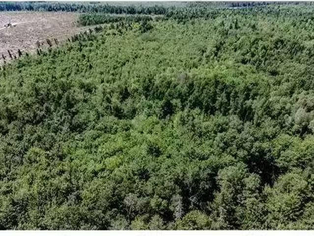 Vacant Lot Ch Nw Aldouane River Rd, Saint Charles, NB, E4W 0A8.