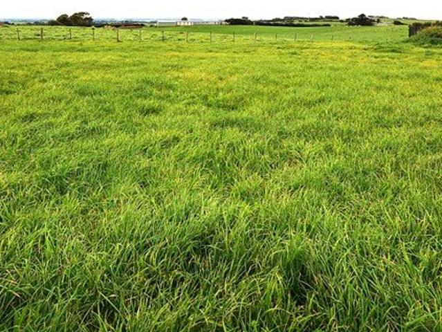 Vacant Land 1,343m2