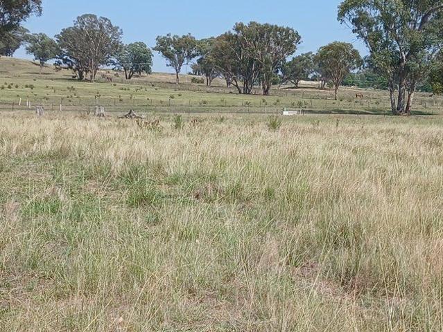 Vacant land