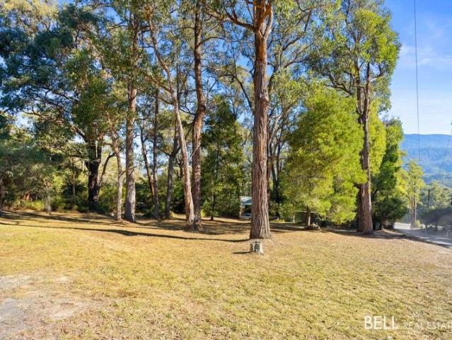 Vacant land, Treed Tranquility Awaits