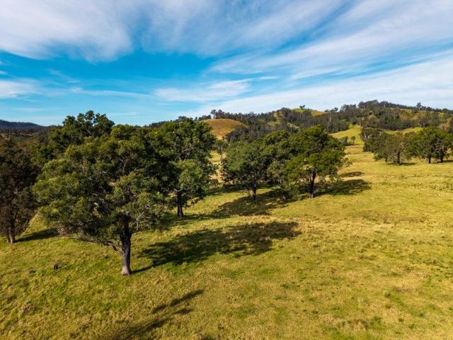 VACANT LAND, COBARGO GRAZING PROPERTY