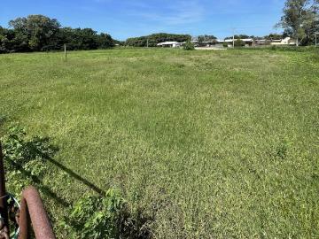 Vacant Land Development Site/Large Home Site