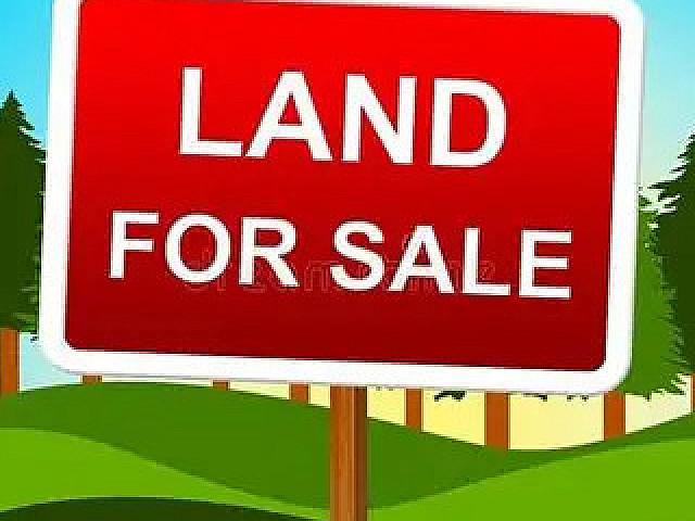 Vacant Land For Sale On Matheson Ave