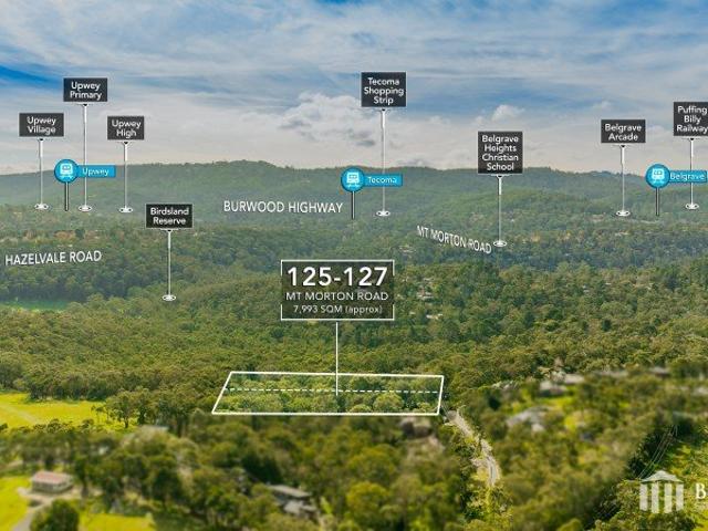 Vacant land in the BEST location