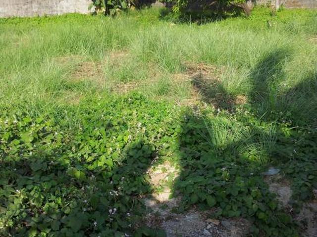Vacant land lot property Subic 553 sqm. within a gated compound