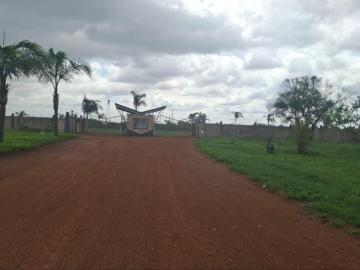 Bela-Bela, Bela Bela Local Municipality, Waterberg District Municipality, Limpopo