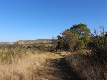 Krugersdorp, Mogale City Local Municipality, West Rand District Municipality, Gauteng, South Africa