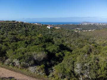 Piesangvallei, Bitou Local Municipality, Sarah Baartman District Municipality, Eastern Cape