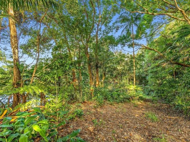VACANT LIFESTYLE BLOCK WITH INCOME POTENTIAL