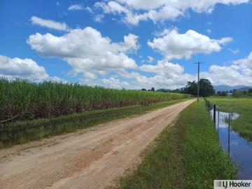 Fertile Farmland Property in Munro Plains