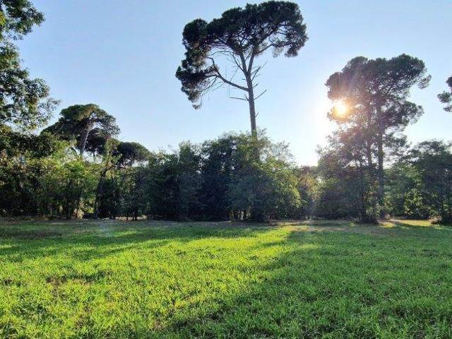 Vacanza Affitto Appartamento, in zona CAMPO D'AVIAZIONE, VIAREGGIO