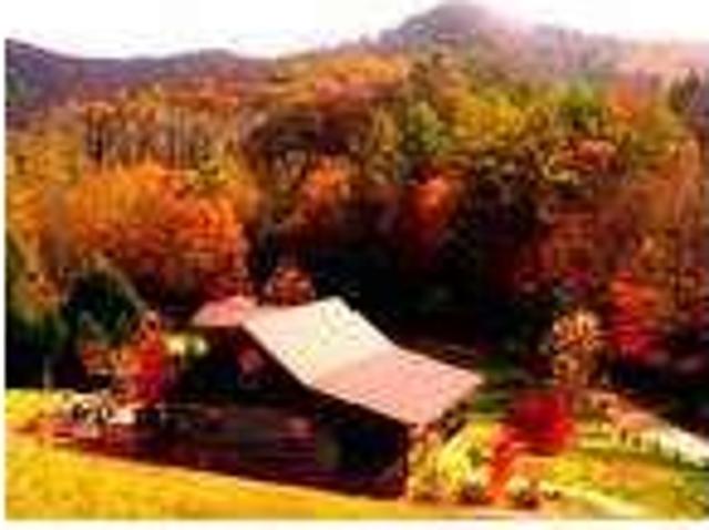 Vacation Cabin in the Smoky Mtn. Robbinsville, NC Romantic Get away