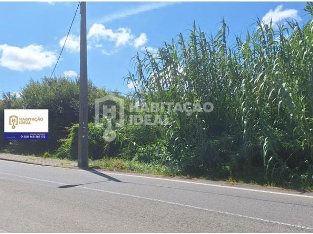 Vagos Vagos LS103853231