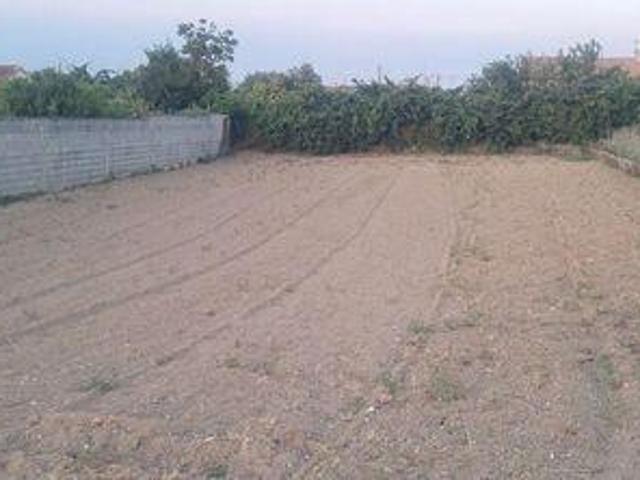 Vagos Aveiro 104146331