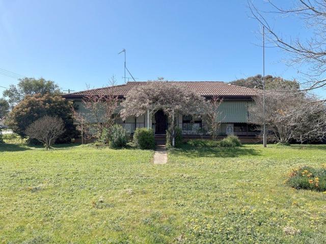 Value Galore in Lockhart!