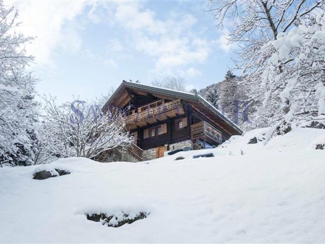 Für Naturliebhaber, wunderschönes Chalet auf Leibrentenbas