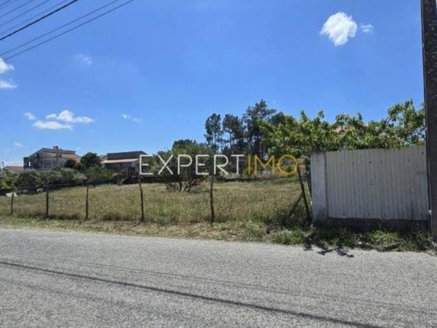 Vale da Pedra Santarém 105569897