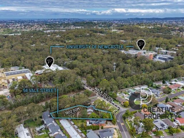 Vale ue Packed Potential
