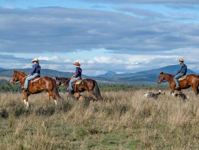 Valkyrie Productive Country Meets an Exceptional Rural Lifestyle