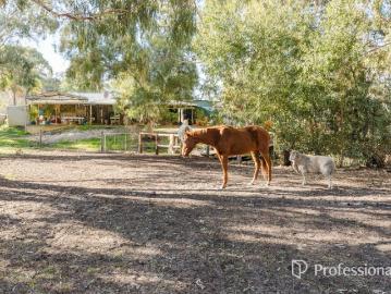 Valley Retreat Big Sheds, Stables & Space