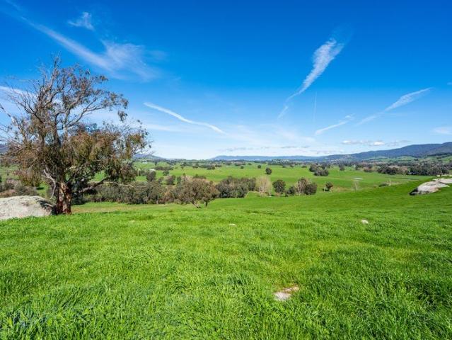 Valley View Staghorn Flat