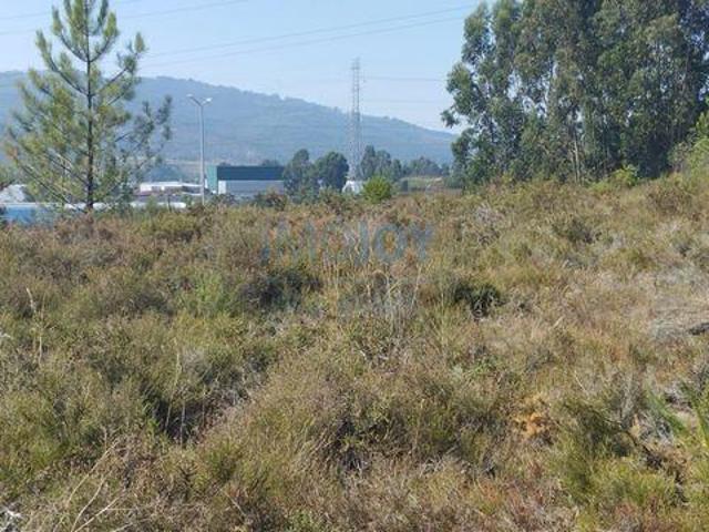 Valongo Porto 4440 103 96326525