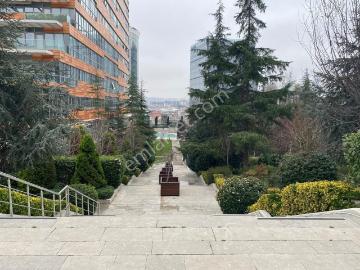 Varyap Meridian' De Yüksek Katta Muhteşem Stüdyo