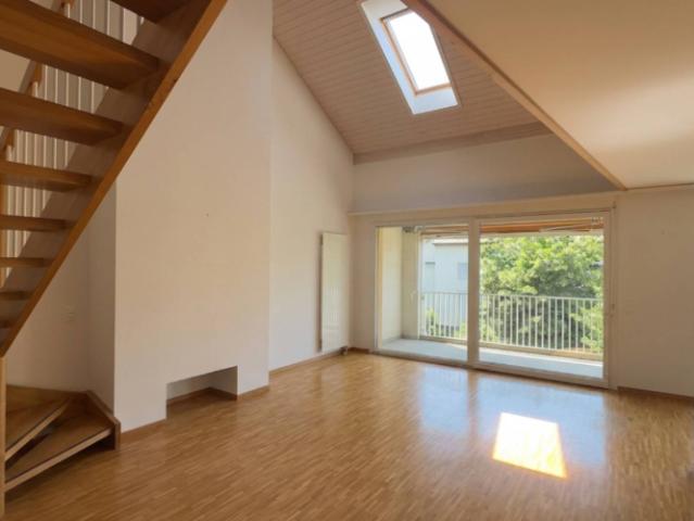 Vaste appartement de 7 pièces à Bernex