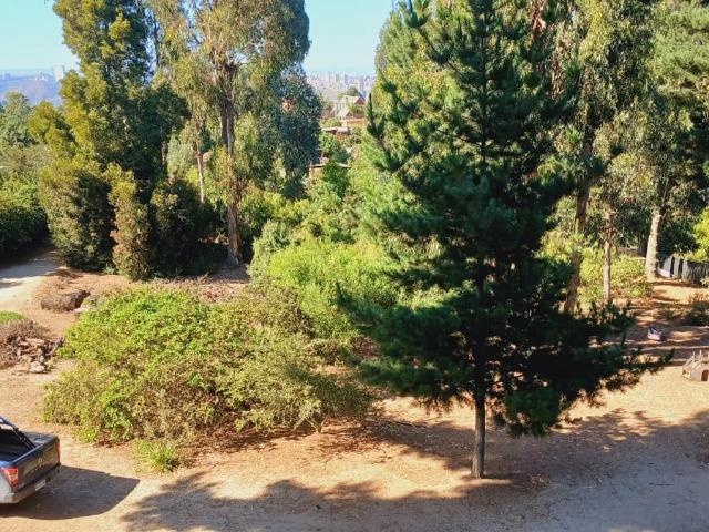 Vass arrienda linda casa en los pinos de reñaca viña del mar