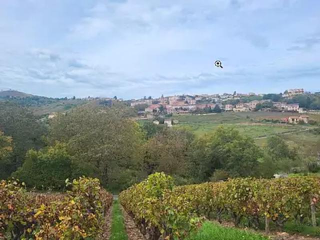 Vaux en Beaujolais 69460 Programme neuf maison neuf à vendre 5 pièces