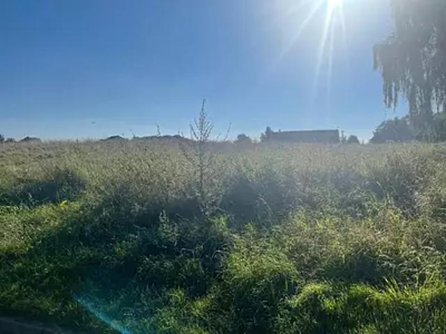 Vaudoy en Brie 77141 Programme neuf maison neuf à vendre 5 pièces
