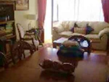 Apartamento en venta en Viña del Mar - Estacionamiento