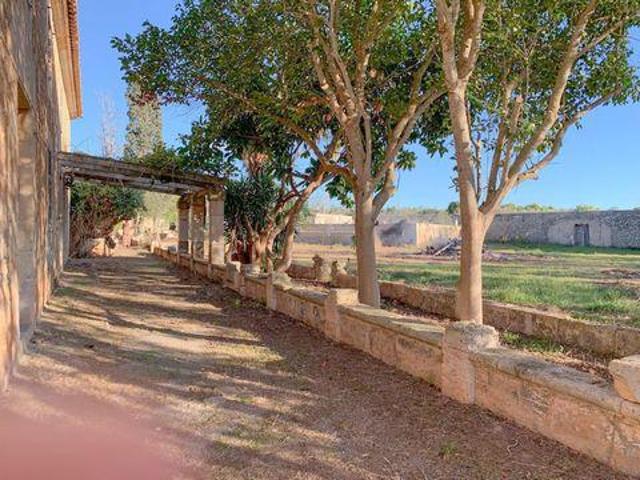 Venta 5 Dormitorio Casa Manacor Baleares DS91816825