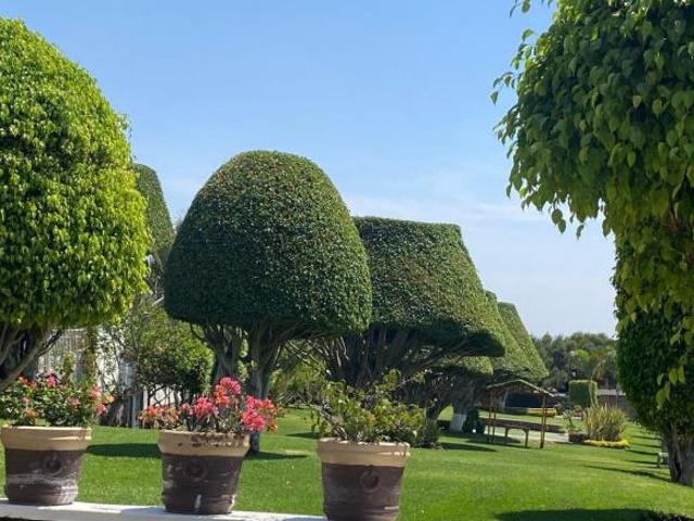 VENTA $5´590,000 LOMA BONITA TZOMPANTLE