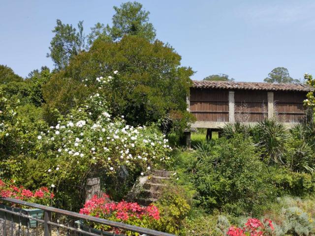 Venta 7 Dormitorio Casa Vedra La Coruña DS86150865
