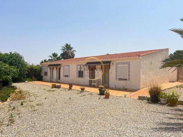 Venta 7 Dormitorio Casa Campillo De Abajo Murcia DS91341981