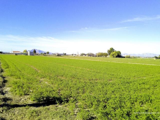 Venta 1 Dormitorio Casa Dolores Alicante DS86218470