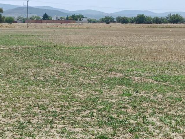 VENTA 21385 M2 EN OTUMBA