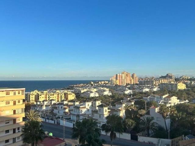 Venta 2 Dormitorio Apartamentos Torrevieja Alicante DS90694271