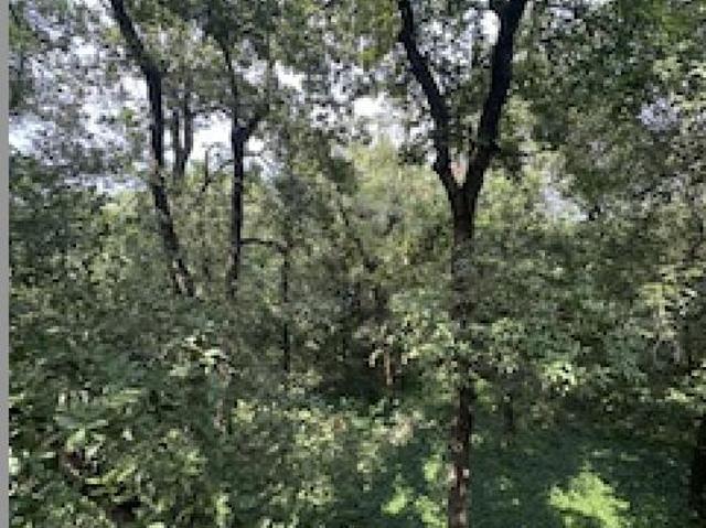 VENTA TERRENO OLINALA SAN PEDRO