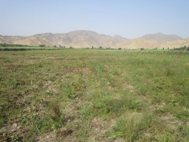 venta terreno agrícola