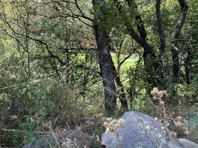 VENTA TERRENO BOSQUE REAL