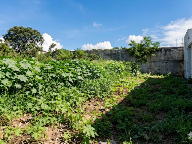 Venta Terreno Campeche Centro