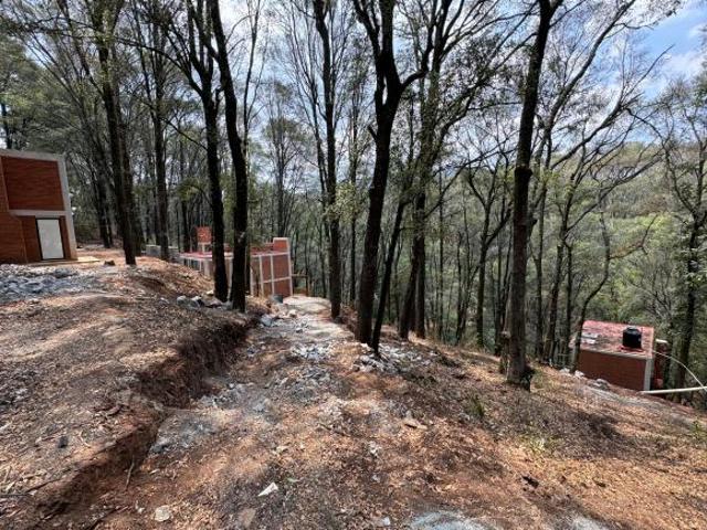 Venta terreno campestre boscoso Huasca